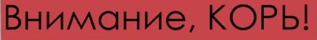Внимание, Корь!