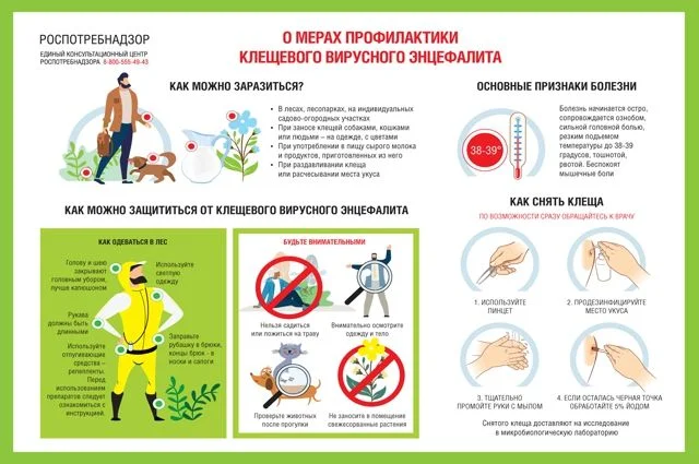 Что делать если вас укусил клещ?