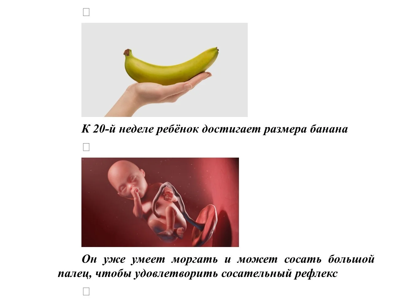 Размер плода_7.jpg