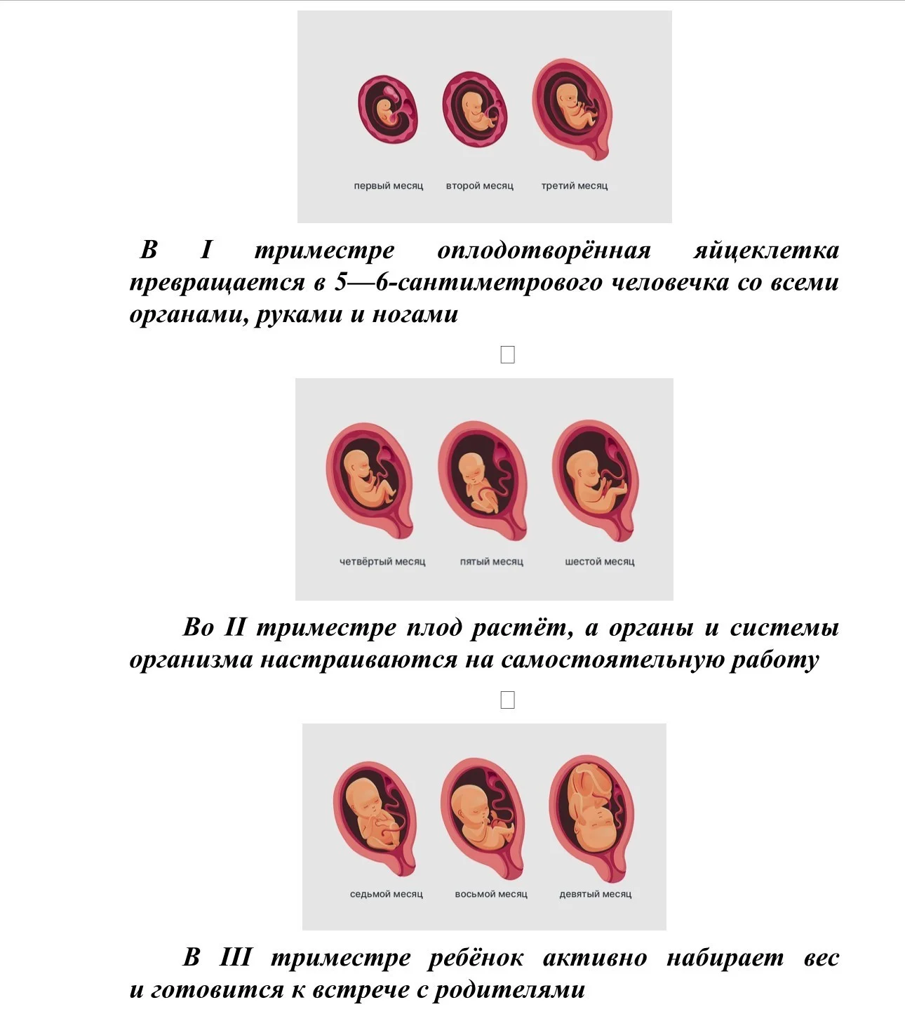 Аборты.jpg