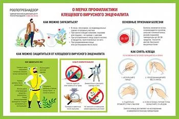 Что делать если вас укусил клещ?